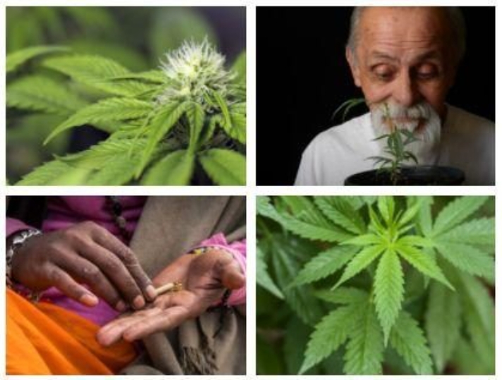 大麻布料：国纺源头，万年衣祖