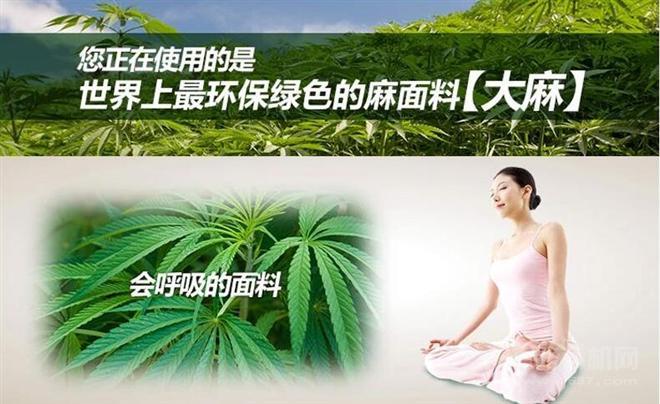 中国工业大麻产业发展进程